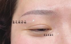 -本小姐美学·半永久纹眉野生眉