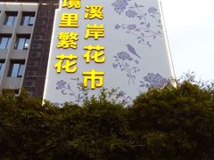 -溪岸路花鸟市场