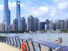 -摆渡站(董家渡站)