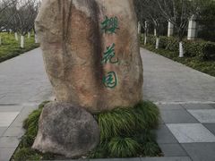 -高东镇樱花园