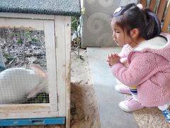 -宁波九龙湖开元度假村