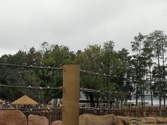 -武汉动物园