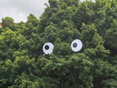 -深圳仙湖植物园