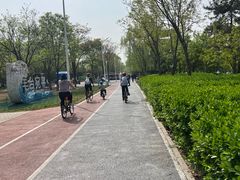 -绿堤公园