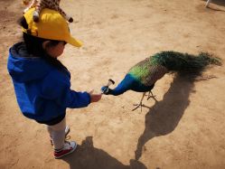 -萌宠亲子动物乐园(槐房万达店)