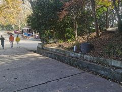 -紫金山山顶公园
