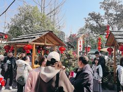 -青城甲(青城山店)