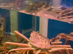 -吉友粥底火锅(方斜路店)