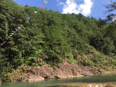 -花岩国家森林公园