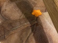 -牛村来人潮汕牛肉火锅(西单店)