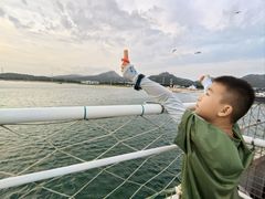 -海驴岛(荣成市)