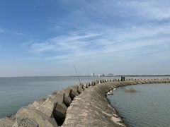-奉贤海滩