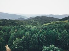 -阳台山自然风景区