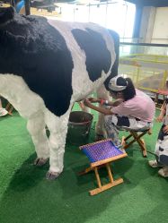 -秦皇星际小蚂蚁乐园