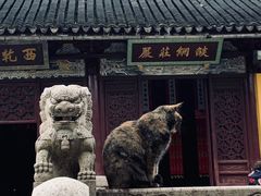 -西园戒幢律寺