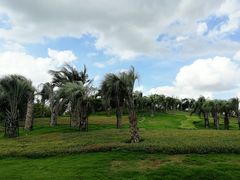 -南通洲际绿博园