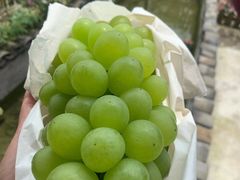 -美家乐农庄·露营·团建(大治路店)