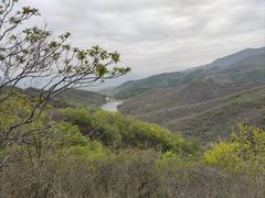 -北京西山国家森林公园