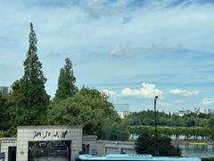 -绿雪芽白茶(浙大华家池校区凯旋路店)