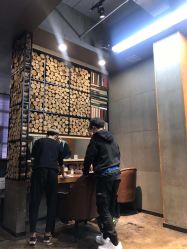 -ODIN 奥丁形象设计 