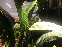 -青柠记忆泰式海鲜火锅(合生汇购物中心店)