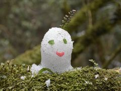 -西岭雪山大飞水景区