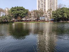 -荔湾湖公园