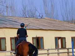 -北京群众马术培训基地