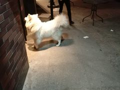 -地锅传奇(水产西路店)