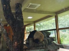 -云南野生动物园