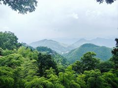 -莫干山风景区