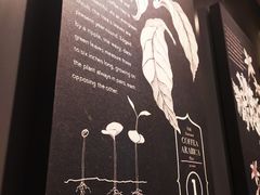 -星巴克(北京新东安)