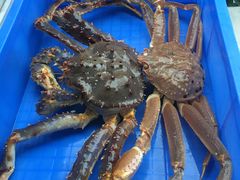 -蟹后Crabber(水悦城店)