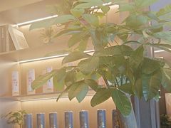 -鹿栖.精油SPA(金山世纪城店)