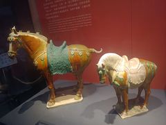 -陕西历史博物馆