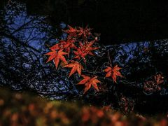 -北山街历史文化街区