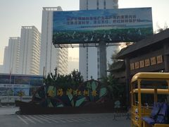 -北海金海湾红树林生态旅游区