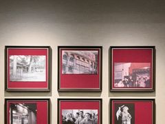 -峨嵋酒家(牡丹园店)