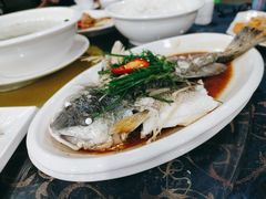 -波记美食店·现捞海鲜