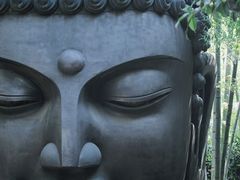 -杭州植物园