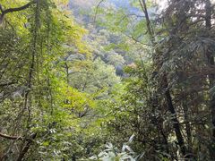 -藏龙百瀑风景区