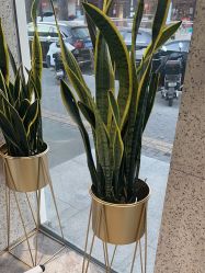 -LJOY丽锦造型·烫发染发