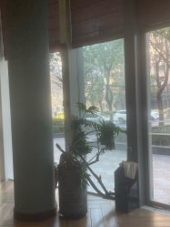 -娇玫荟SPA