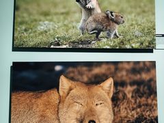 -中国湿地博物馆