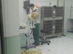 -欧奕国际动物医院