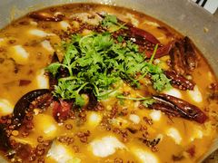 酸菜鱼-南山翁新概念川菜(江宁万达广场店)