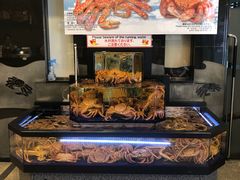 -蟹道乐(道顿堀本店)