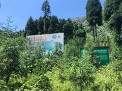 -九峰山