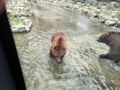 -北京野生动物园