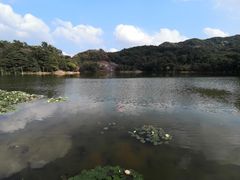 -广州市石门国家森林公园